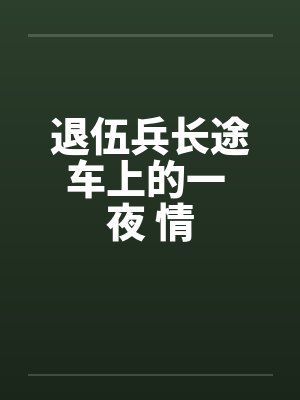 退伍兵长途车上的一 夜 情