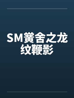 SM黉舍之龙纹鞭影by佚名