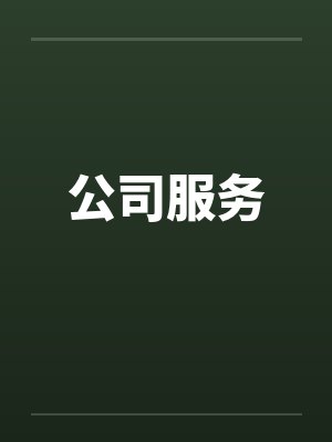 公司服务
