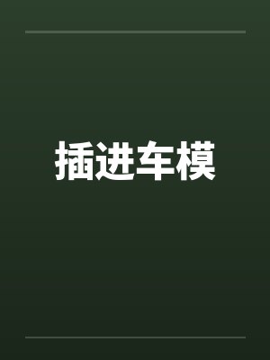 插进车模